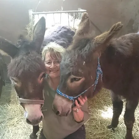 Haegelhof Appartamento Naila
