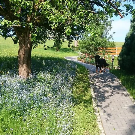 Haegelhof Appartamento *